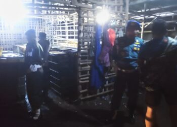 Gerebek Gudang Solar Ilegal di Madiun, Pertamina Investigasi Sejumlah SPBU