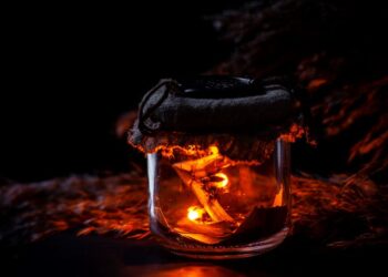 Asal Pancaran Cahaya Kunang-Kunang yang Misterius