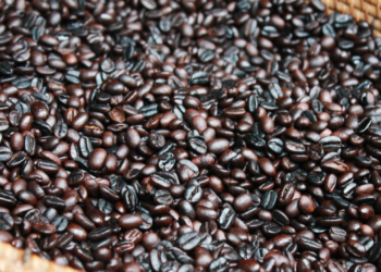 Mengagumkan! Inilah Kisah Perjalanan Kopi di Tanah Air