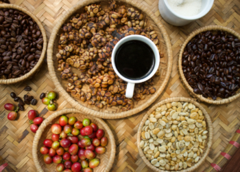 Jejak Budaya Ngopi di Indonesia: Perjalanan Panjang Sejak Zaman Kolonial