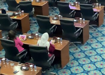 Anggota Fraksi PDIP DPRD DKI Jakarta Cinta Mega Bikin Heboh, Terpergok Nge-Game di Rapat Paripurna