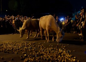 Kirab Pusaka Malam 1 Suro Kraton Surakarta Bakal Segera Digelar, Catat Tanggalnya