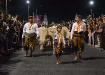 Kraton Surakarta Gelar Kirab Pusaka Malam 1 Suro, 5 Kebo Bule Jadi Cucuk Lampah
