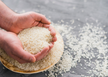 Sulawesi Tenggara Puncaki Harga Beras Tertinggi, Ini 5 Provinsi Lainnya