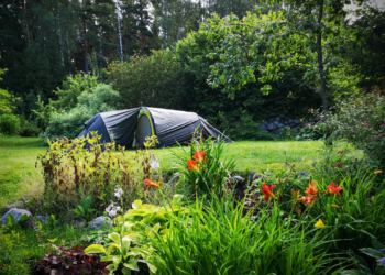 10 Ide Asyik Menikmati Liburan di Rumah