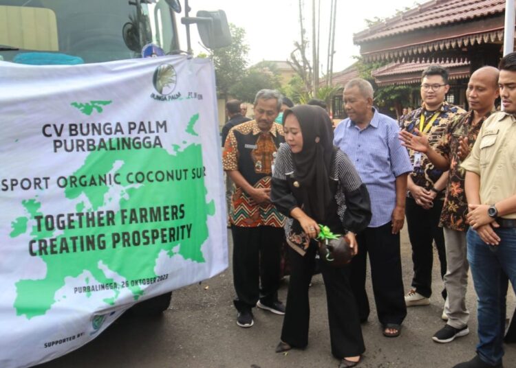 150 Ton Gula Kelapa Organik Purbalingga Tembus Pasar AS