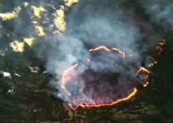 Sejumlah Warung Makan di Puncak Gunung Lawu Dilalap Si Jago Merah