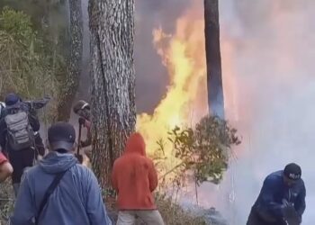 Gunung Merbabu Terbakar, 5 Jalur Pendakian Ditutup