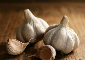 7 Rekomendasi Obat Penurun Panas Alami
