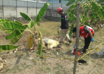 Mayat Pria Tanpa Identitas Ditemukan di Kebun Pisang Sragen