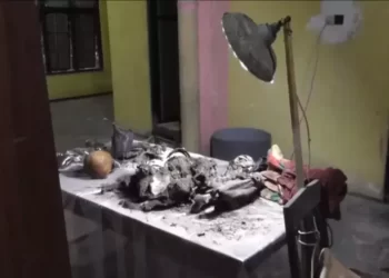 Misteri Tengkorak Manusia Ditemukan di Rumah Kosong di Blitar