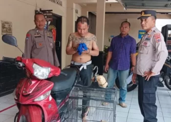 Maling Burung Murai Dibekuk Polisi, Motifnya Bikin Haru