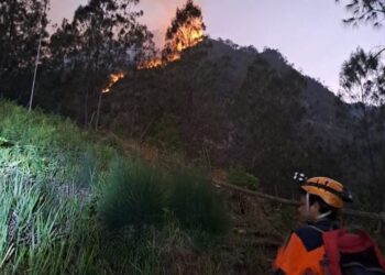 Ini Penyebab Kebakaran di Gunung Panderman Kota Batu