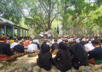 Kraton Surakarta Kuburkan Kepala Kerbau di Alas Krendowahono, Ini Maknanya