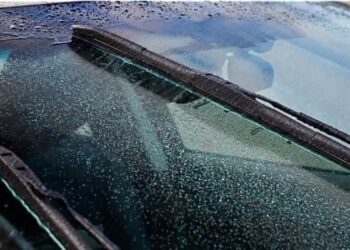 Cara Mudah dan Efektif Menghilangkan Jamur atau Water Spot pada Body Mobil