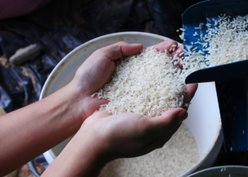 Jelang Tahun Baru 2024, Harga Beras Nasional Terus Merangkak Naik