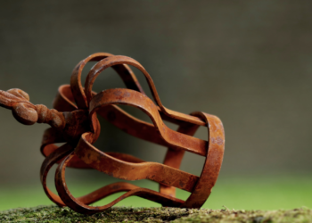 Cerita Sang Raja Kota