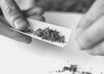 BNN Jawa Tengah Gagalkan Peredaran Ratusan Gram Ganja