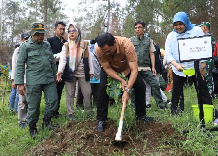Upaya Rehabilitasi Pasca Kebakaran, Pj Gubernur Jateng Tanam 3.400 Bibit Pohon di Merbabu