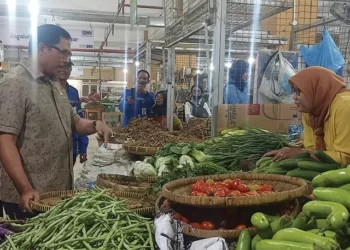 Ini Terobosan Pj Gubernur Jateng Tanggulangi Kenaikan Harga Cabai