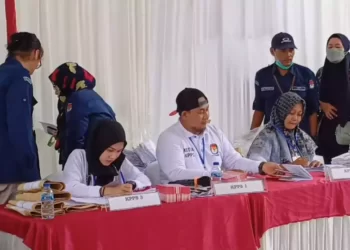 Peran Penting PPK, PPS, dan KPPS dalam Pemilu: Siapakah Mereka?