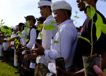 KPU Povinsi Bali Tanam 118 Ribu pohon Serentak di Seluruh TPS se-Pulau Dewata