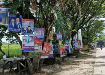 Pelarangan Pemasangan APK di Pohon! Ketua Bawaslu Sebut Aturan Sudah Jelas