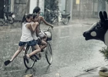 Waspada! Dampak Berbahaya Mengenakan Pakaian Basah saat Hujan