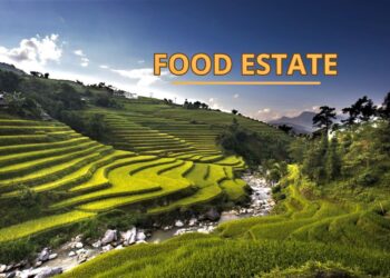 Program Food Estate: Tingkatkan Ketahanan Pangan, Apa Itu?