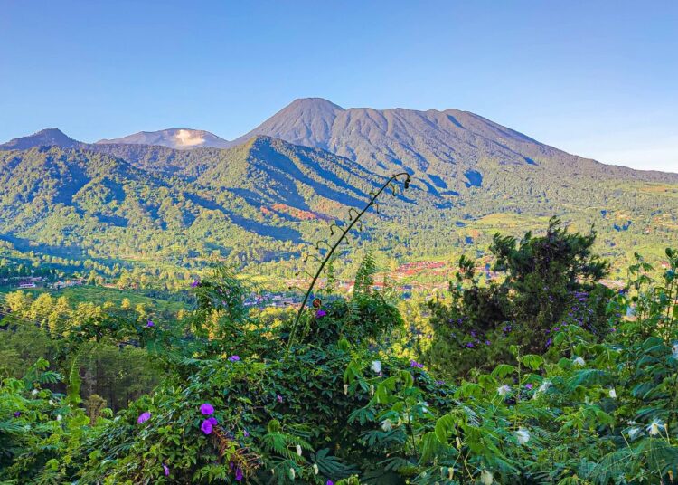 Gunung Pangrango, Kabupaten Bogor