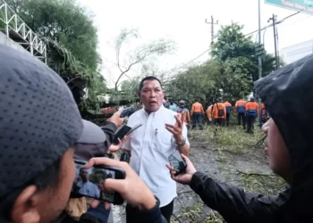Wakil Wali Kota Solo Teguh Prakosa Bertindak Cepat Antisipasi Pohon Tumbang