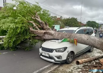 Hujan Deras dan Angin Kencang Timbulkan Kerusakan di Karanganyar