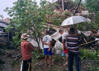 Pohon Tumbang Hantam Dapur dan Kandang Ayam di Karangpandan