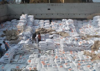 500 Ribu Ton Beras Impor Telah Tiba di Indonesia, Tahun ini 2 juta ton disiapkan. Dimana Swasembada pangan Kita?