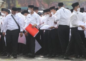 BKN Ungkap Jadwal Rekrutmen CASN Tiga Kali di Tahun 2024