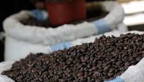 Kopi Muria: Jejak Sejarah Kolonial yang Hidup di Setiap Tetesnya
