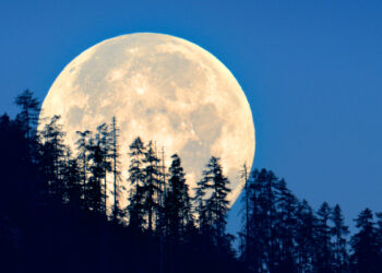 BRIN Catat Tiga Kali Fenomena Supermoon di Tahun 2024, Sama dengan Jumlah di 2023