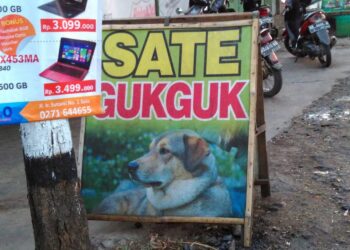 Pemkot Solo Segera Terbitkan Surat Edaran Terkait Penjualan Daging Anjing