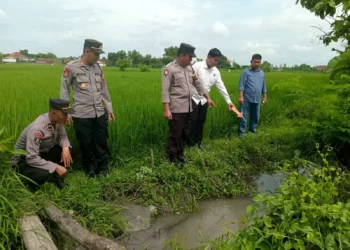 Pamitnya Mau Ngarit, Suroto Ditemukan Tak Bernyawa