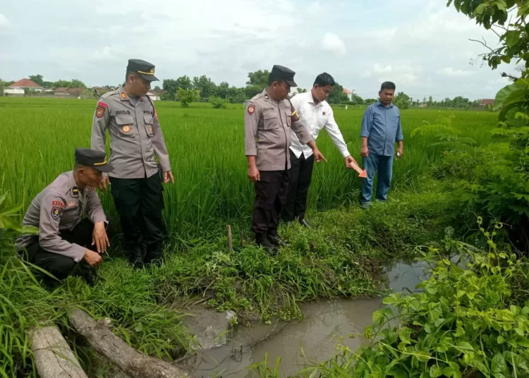 Pamitnya Mau Ngarit, Suroto Ditemukan Tak Bernyawa