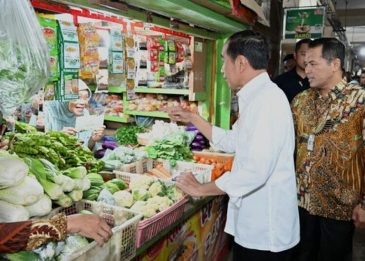 Presiden Jokowi Pantau Stabilitas Harga Pangan di Pasar Wonogiri