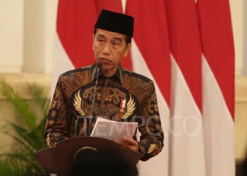 Anggota Komite HAM PBB Mempertanyakan Dugaan Intervensi Jokowi dalam Pilpres 2024