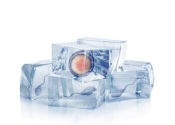 Fenomena Egg Freezing Semakin Populer di Kalangan Wanita Indonesia