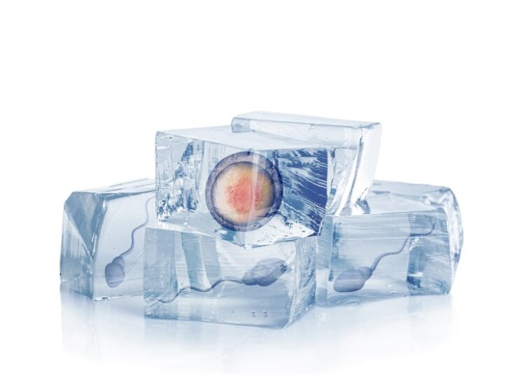 Fenomena Egg Freezing Semakin Populer di Kalangan Wanita Indonesia