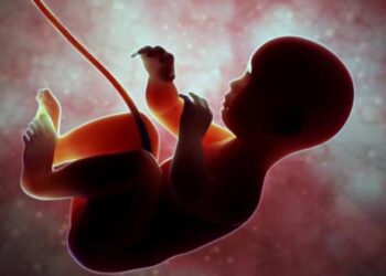 Ada Sisa Plasenta di Kandungan Ibu yang Telah Membuang Orok Bayi