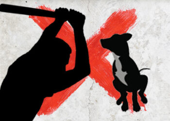 Siksa Anjing Hingga Tewas, 4 Pemuda Terancam 3 Bulan Penjara