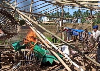 Arena Sabung Ayam di Malang Digerebek Tim Gabungan TNI-Polri, Hasil Tak Memuaskan