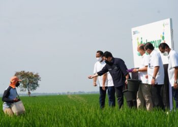 Erick Thohir Ungkap Rancangan Cetak Biru BUMN Hingga 2034, Fokus pada Integrasi Sektor Pangan dan Pupuk