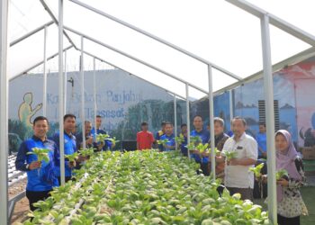 Sinergi Lapas Madiun dan PT. INKA Hasilkan Panen Pakcoy Hidroponik Melimpah