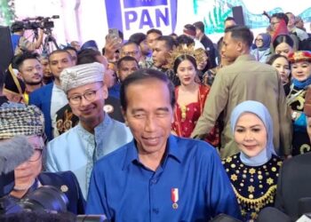 Jokowi Pastikan Pemerintah Patuhi Putusan MK Terkait UU Pilkada